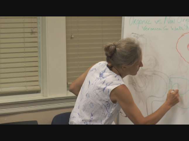 Thumbnail image for Organic or Non-Organic