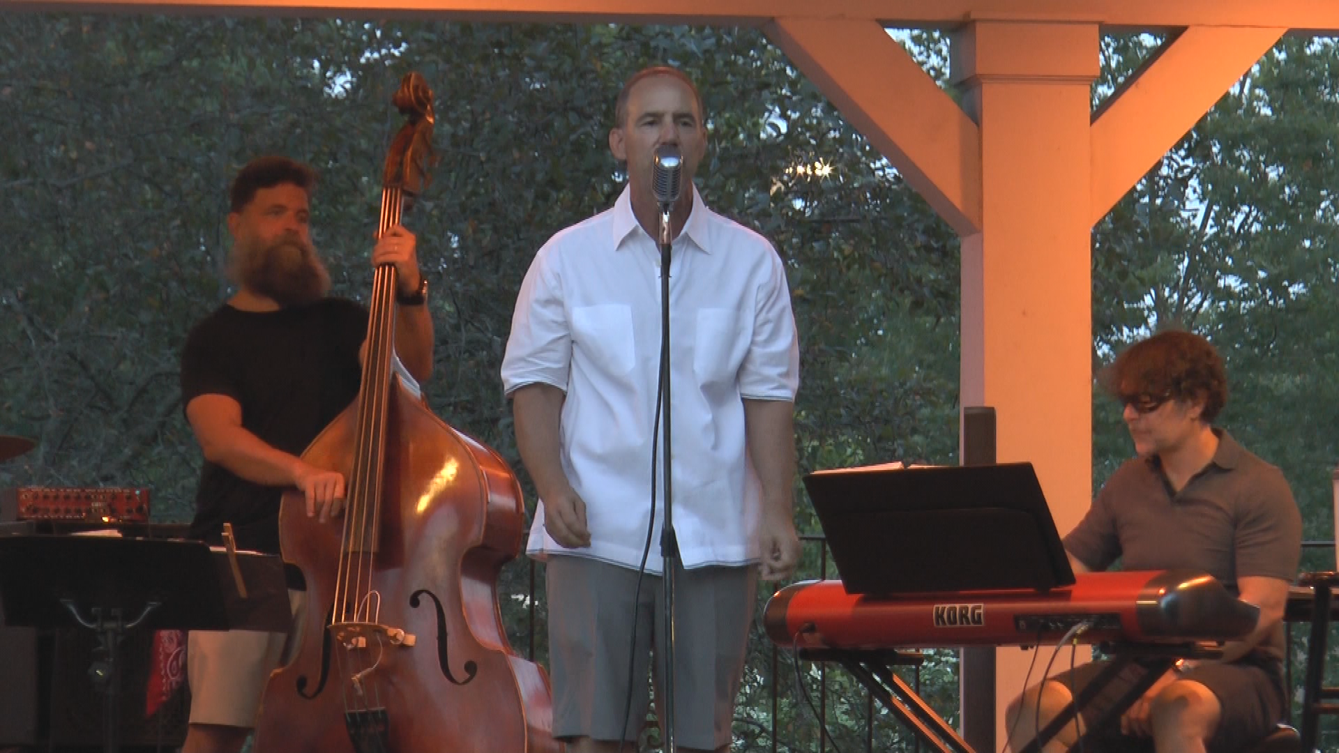 Thumbnail image for Steve D'Agostino Band Gazebo Concert 2020