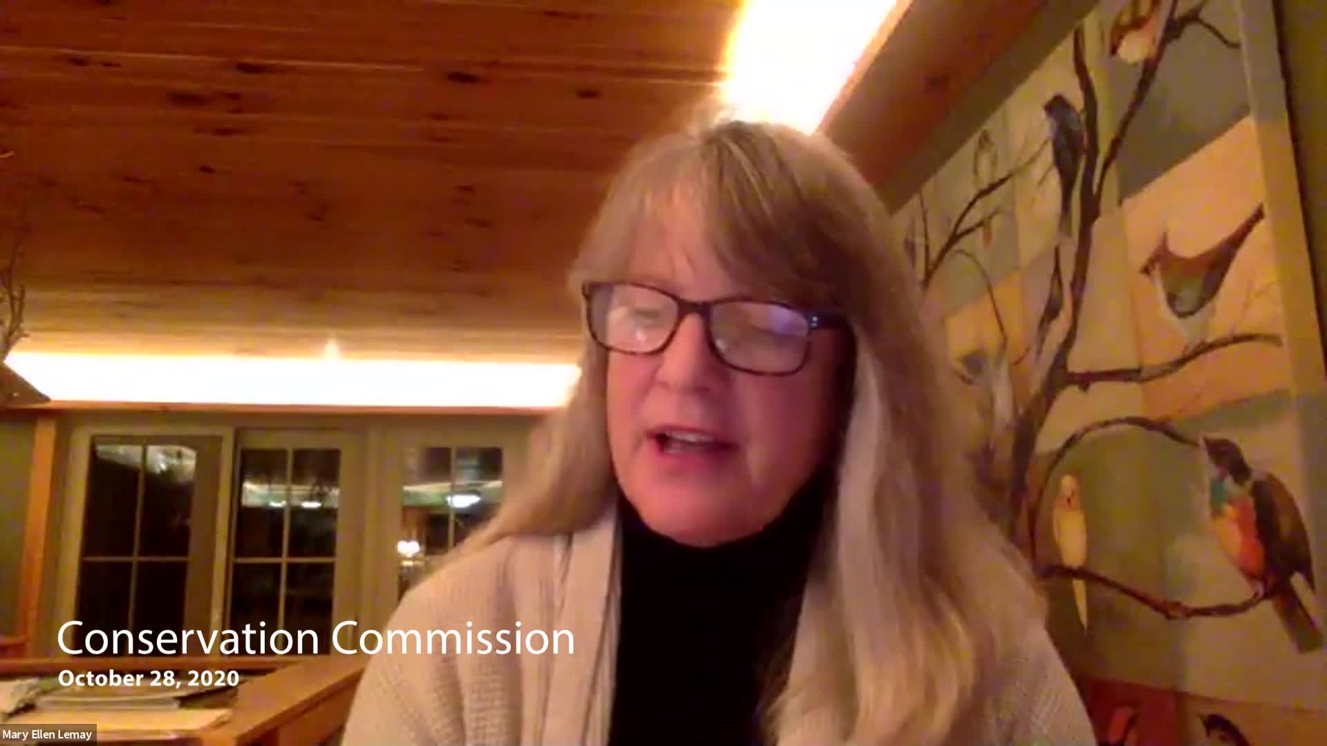 Thumbnail image for Conservation Commission 10/27/20 Meeting VOD only