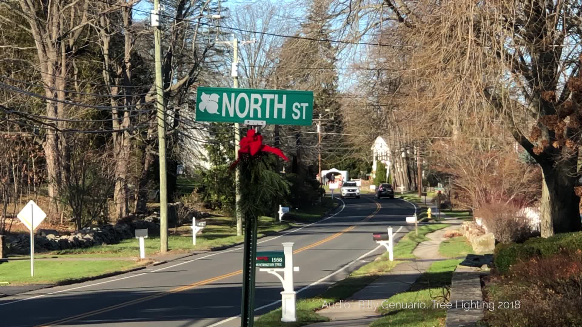 Thumbnail image for Trumbull Holiday Tree Lighting 2020