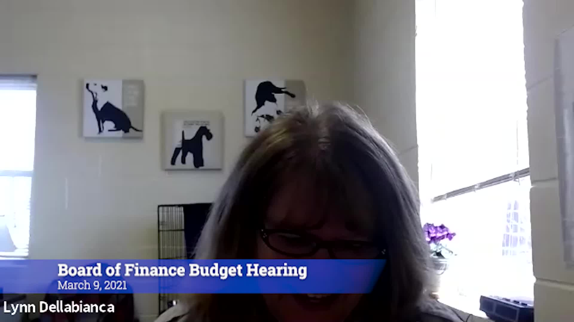 Thumbnail image for Board of Finance 3/9/21 Budget Session: Public Safety: Animal Control, Police, Emergency Management, Fire Marshal
