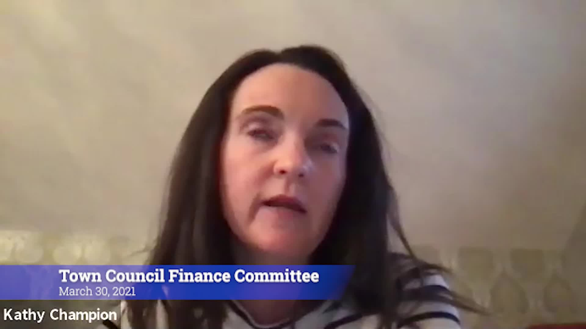 Thumbnail image for Town Council Finance Committee 3/29/21 Meeting
