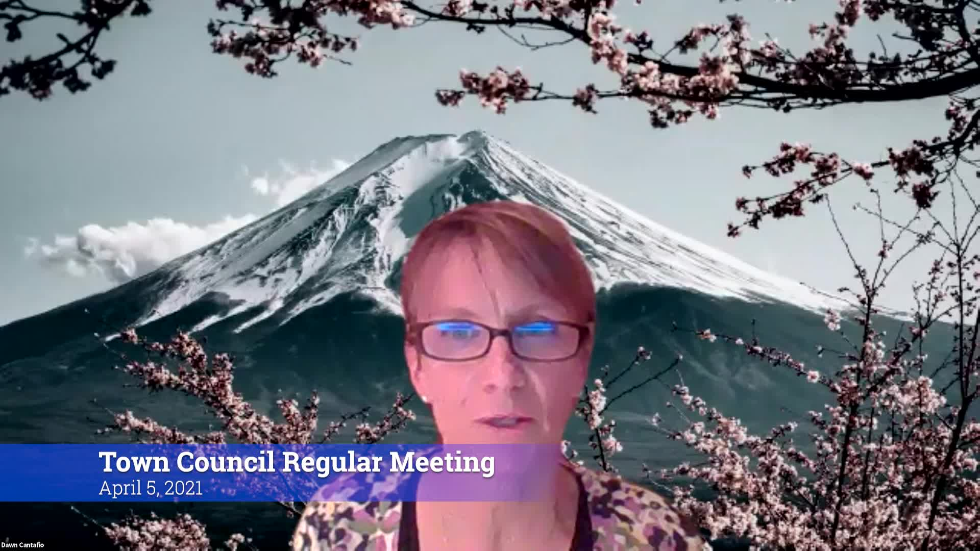 Thumbnail image for Town Council 4/5/21 Meeting