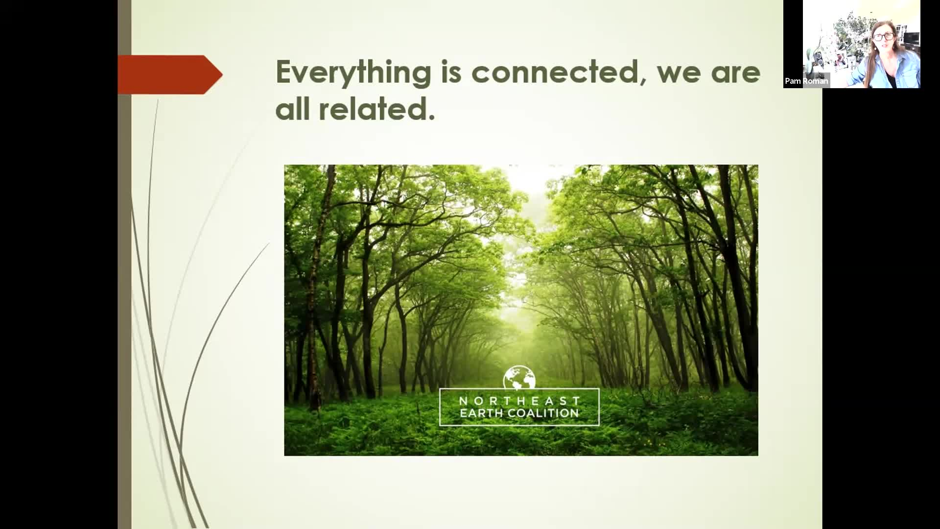 Thumbnail image for Sustainable Trumbull presents Vegetable Gardening, an Introduction