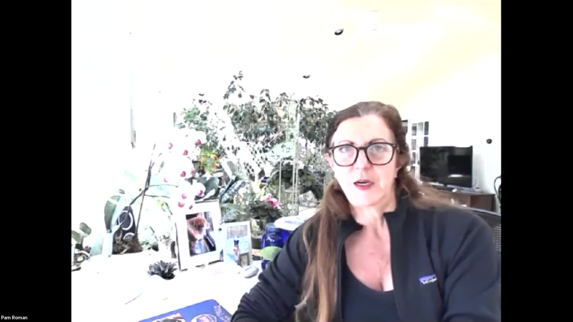 Thumbnail image for Sustainable Trumbull Presents:  Birds in Art