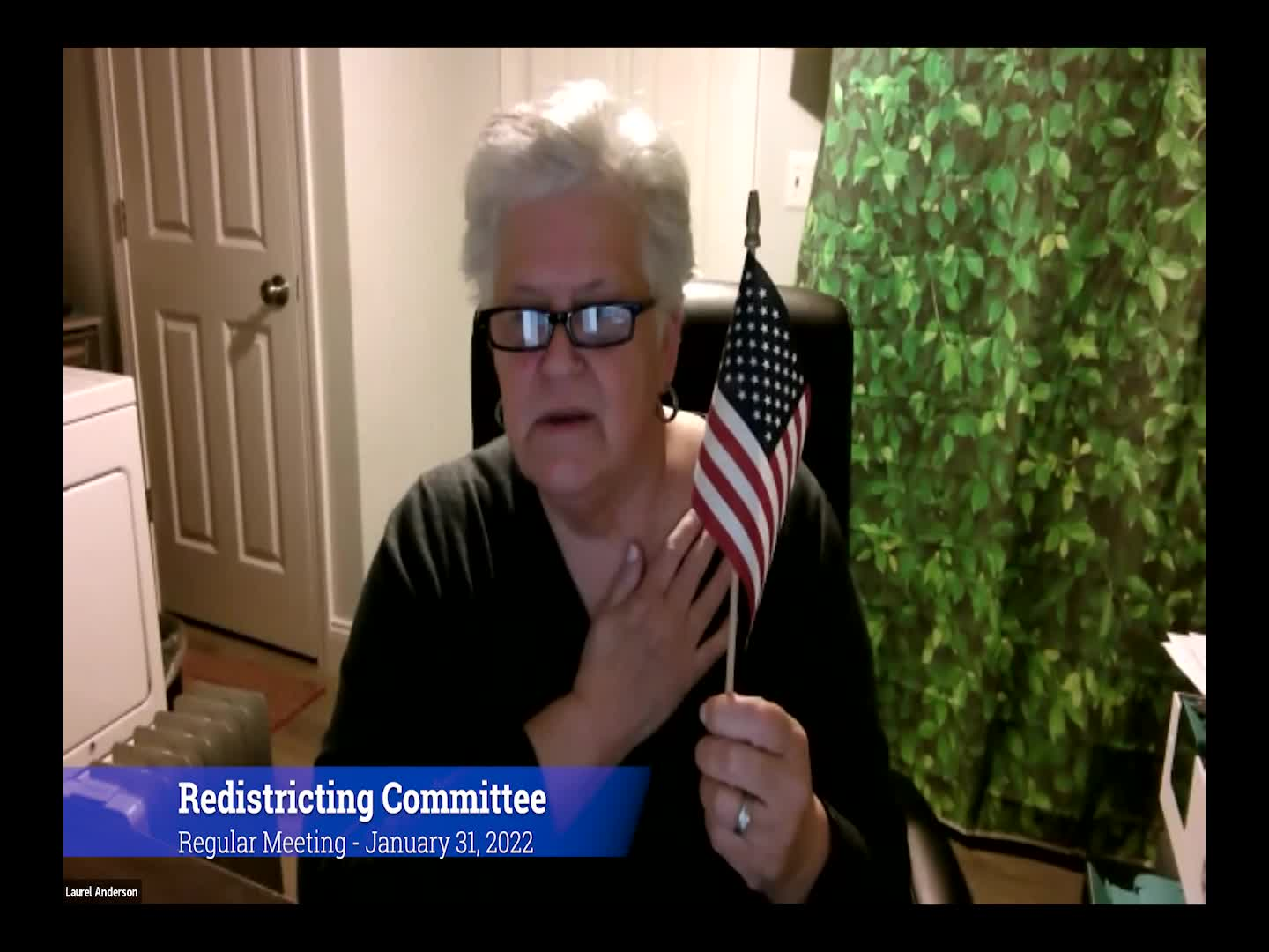 Thumbnail image for 2022 Redistricting Committee 1/31/22 Meeting