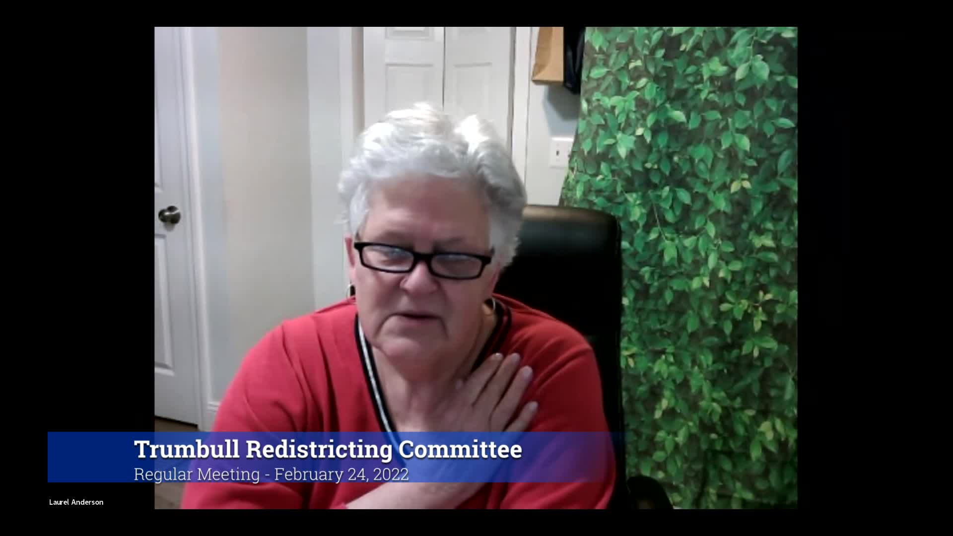 Thumbnail image for 2022 Trumbull Redistricting Committee 2/24/22 Meeting
