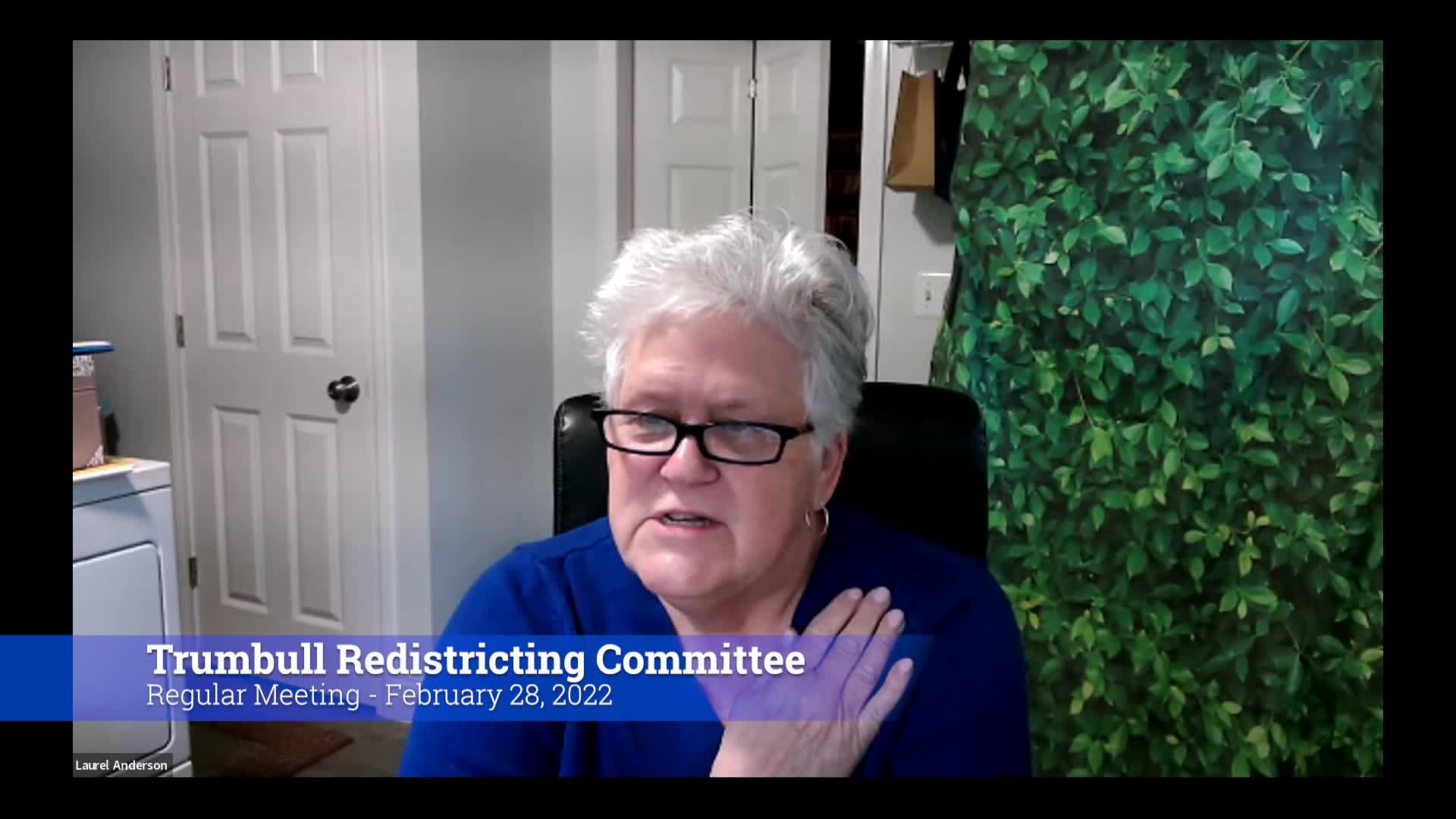 Thumbnail image for 2022 Trumbull Redistricting Committee 2/28/22 Meeting