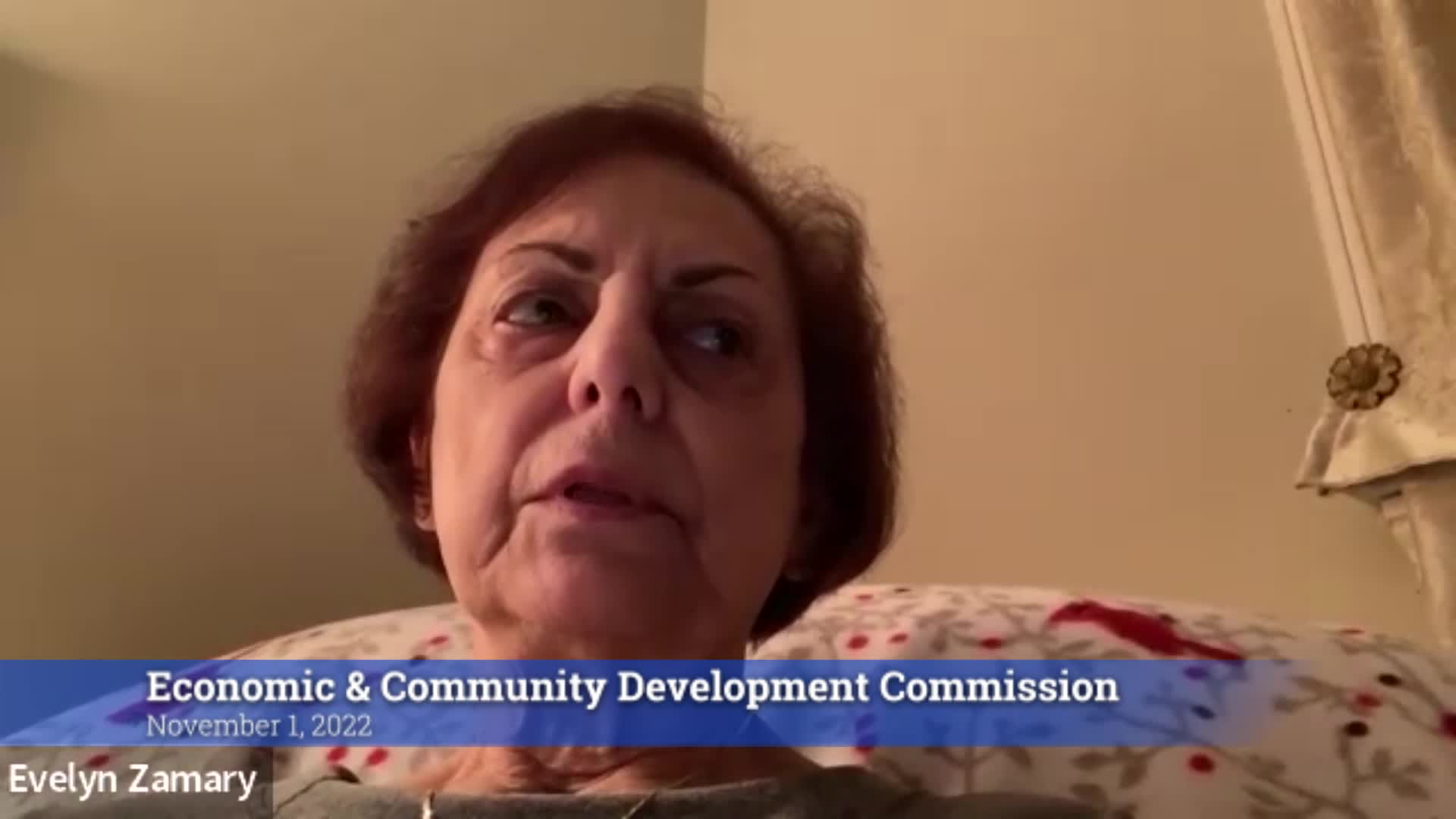 Thumbnail image for Economic & Community Development Commission 11/1/22 Meeting