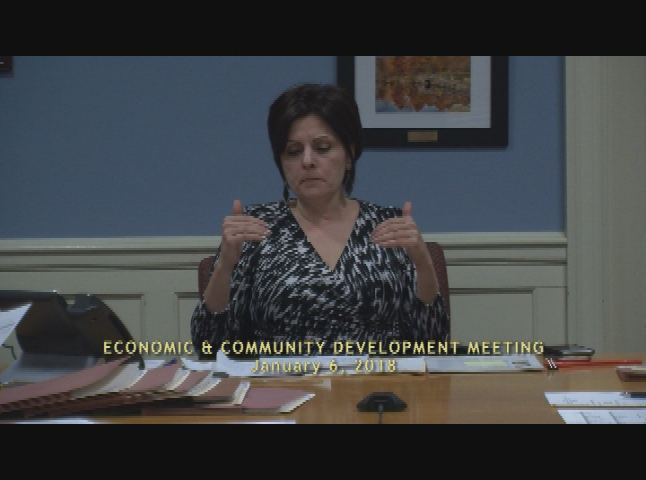 Thumbnail image for Economic & Community Development 2/6 Meeting