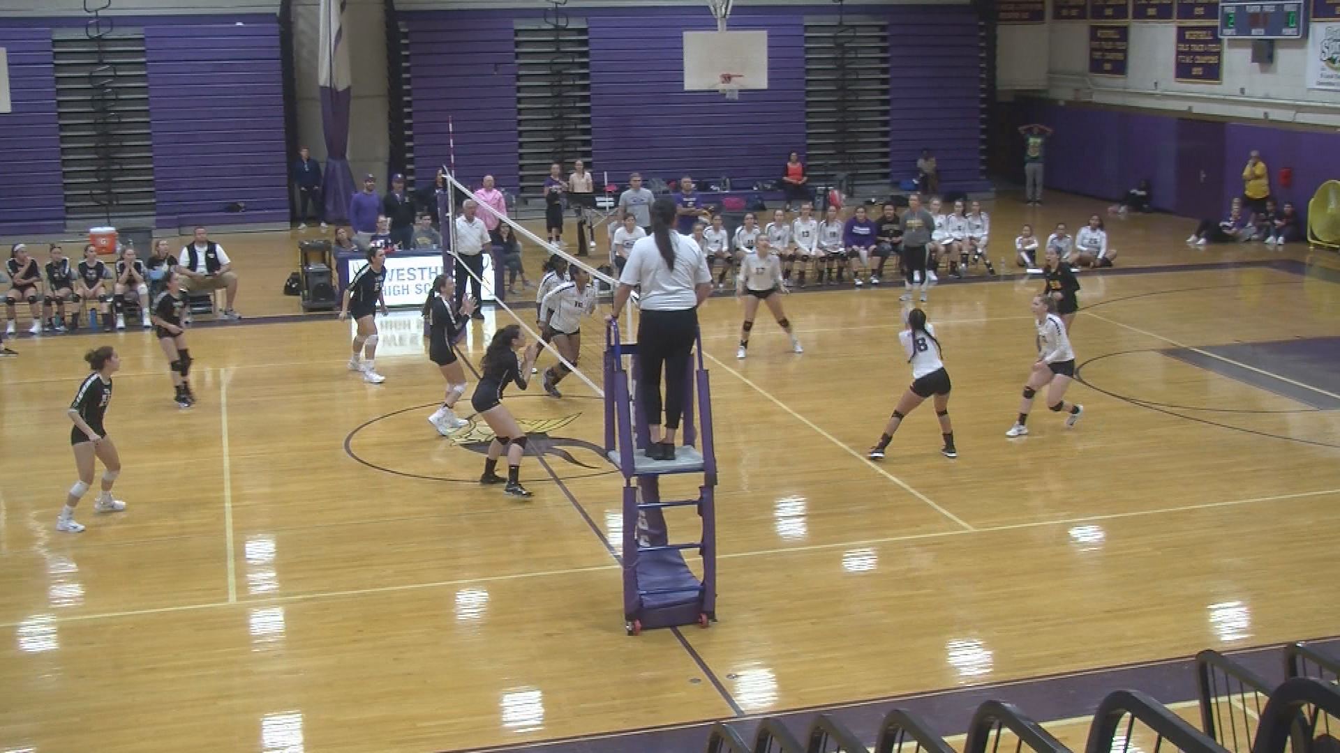 Thumbnail image for Girls Varsity Volleyball:  Trumbull High vs. Westhill High