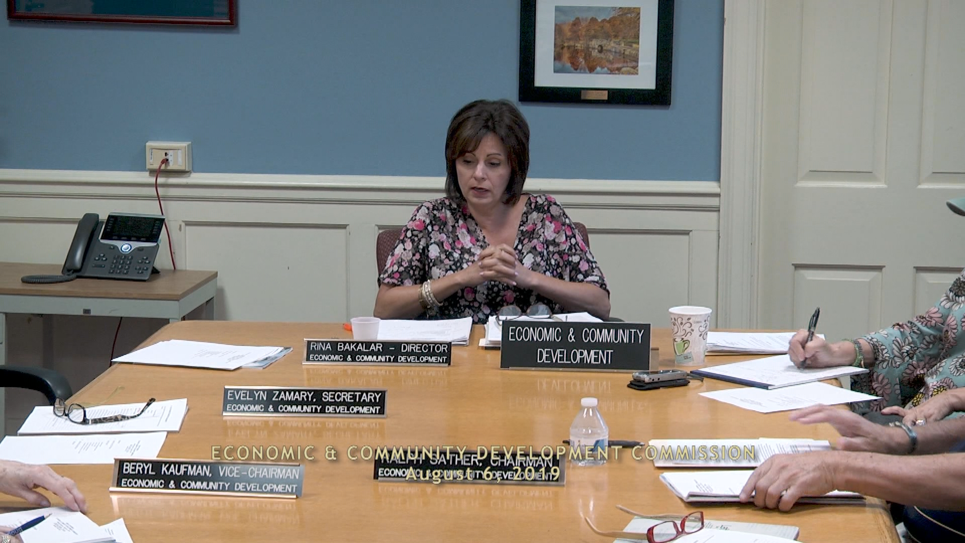 Thumbnail image for Economic & Community Development Commission 8/6 Meeting